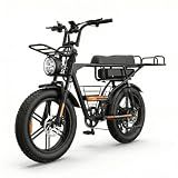 windseeker 48V 27Ah Electric Cargo Bike for Adults 2500W Peak