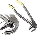 Dental Extracting Extraction Serrated Forceps MD3, for Lower incisors, cuspids, bicuspids and Roots, Premium Quality Gold Handle, Stainless Steel