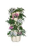 Greenstalk Patented Large 5 Tier Vertical Garden Planter with Patented Internal Watering System Great for Growing a Variety of Strawberries, Vegetables, Herbs, & Flowers (Stunning Stone)