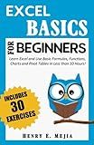 EXCEL BASICS FOR BEGINNERS: Learn Excel and Use Basic Formulas, Functions, Charts and Pivot Tables in Less Than 10 Hours! (Excel For Beginners)