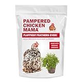 Pampered Chicken Mama Molting Supplement for Chickens: Fluffiest Feathers Ever Backyard Chicken Feed and Supplies for Hens (2 pounds)