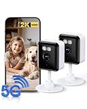 2K Cameras for Home Security, 2.4/5GHz Wi-Fi 6 Indoor Camera for Dog/Pet/Nanny/Baby with US Phone App, AI Text Recognition, Smart Search, Color Night Vision,2 Way Talk Mini Cam,Human Detection,2 Packs