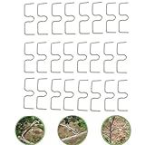 alblinsy Fruit Tree Branch Puller Tying Machine Farm Tools New Plum Tree Open Angle Pull Branch stereotyped Branch Bending Tool Used to Support The Growth and Fruiting of Branches (M-3.15" 24PCS)