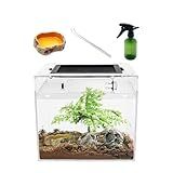 Reptile Growth Mini Reptile PC Terrarium,8x8x8 inch Amphibian Tank Starter Kit Habitat Cage，for Insect，Fish，Tarantula，Turtles，Jumping Spiders and Small Reptiles