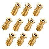 The Door Bull - 10 Pack Pool Cover Brass Anchor Head Screw Bolt for Pool Cover Anchors for Concrete, Pavers and Wood Deck