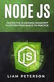 Node JS: Master the In-Demand JavaScript Platform from Basics to Practice (The Art of Coding)