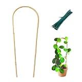Cambaverd Indoor Plant Trellis for Potted Plants 16in, 6pcs Bamboo Trellis