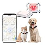 GPS Tracker for Dogs & Cats - No Monthly Fee, Waterproof Real-Time Tracking Collar for Pets, Kids,Luggage & Assets | 365-Day Battery Life | iOS & Android Compatible | Anti-Lost Device
