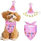 FlooFelove Dog Birthday hat Pink for Girl Dogs - Dog Birthday Decorations with Bandana Hat and Number Stickers for Dogs Birthday Party Supplies