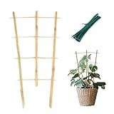 Cambaverd Bamboo Trellis 10 Pack, 16in Fan-Shaped Plant Trellis Indoor for Climbing Plants