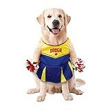 Best Furry Friends Cheerleader Dog Costume, Large