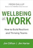 Wellbeing at Work: How to Build Resilient and Thriving Teams
