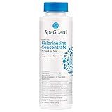 SpaGuard Spa Chlorinating Concentrate, 14 oz, Single Pack