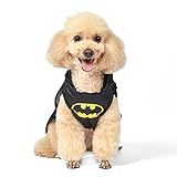 DC Comics Batman Dog Costume, Size Small | Best DC Comics Batman Halloween Costume for Small Dogs | Funny Dog Costumes | Official Batman Costume for Pets Halloween