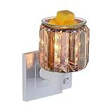 MeplLivs Warmers Pluggable Fragrance Warmer- Decorative Plug-in for Warming Scented Candle (Golden)