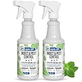 Mighty Mint Peppermint Oil Insect Repellent Spray – Natural Indoor & Outdoor Bug Control for Spiders, Ants, Roaches, and More – Plant-Based, Extra-Strong Formula - 16 oz (Pack of 2)