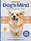 Inside Your Dog's Mind - What They Really Think: Right Way To Touch Them, Bark Meaning, Why Dogs Feel Your Pain, Guide To Pet Insurance, Sniffing Walk, Microadventures, Bonding, Health Span & More!