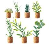 Joyibay Plant Fridge Magnets Mini Succulent Magnets Artificial Plants Refrigerator Magnets Potted Succulent Plants Magnet Stickers Cute for Magnet Boards Fridge Home Office Decor