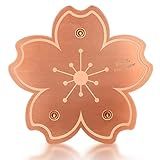 Yncotte 99.99% Pure Copper Bird Bath Disk, Triple-Point Support Design Lower Cleaning Frequency for Physical Safe Water Purify Outdoor Bird Bowls All-Season