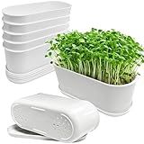 Torfican 5 Set Window Herb Planter Box Rectangular,8.5x3.5 Inch White Plastic Planters with Multiple Drainage Holes and Trays,Indoor Succulent Cactus Mint Flower Pot for Windowsill,Garden Balcony