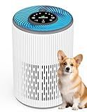 DAYETTE Air Purifier for Home Large Room up to 1300 sq ft, H13 Air Purifiers for Bedroom Pets with Fragrance Sponge, Remove 99.97% Smoke/Pet Dander/Pollen, Quiet 20dB Sleep Mode