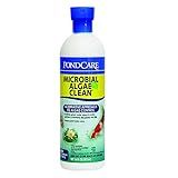 API PONDCARE MICROBIAL ALGAE CLEAN Biological Inhibitor of Green Water, Alternative approach to algae control, 16-Ounce Bottle