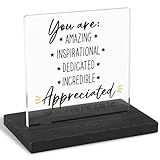 FOUGSTA You Are Appreciated, Employee Appreciation Gift, Thank You Gift, Appreciation Gift, Modern Transparent Acrylic Desk Plaque with Inspirational Quotes, 10 x 10 x 1.5 cm,XXY64