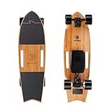 Jking Electric Skateboard Electric Longboard with Remote Control Electric Skateboard,700W Hub-Motor,16.7 MPH Top Speed,8.2 Miles Range,3 Speeds Adjustment