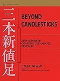 Beyond Candlesticks: New Japanese Charting Techniques Revealed (Wiley Finance)