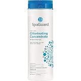 SpaGuard Spa Chlorinating Concentrate, 2 lb, Single Pack