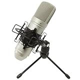 Tascam TM-80 Large Diaphagm Condenser Microphone,Silver