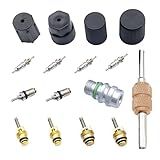 EKUWU 16 PCS Air Conditioning Valve Core Kit, R12 to R134a Conversion Kit A/C System Cap, High and Low Pressure AC Valve Core Removal Tool, Universal A/C Refrigeration System Repair Accessories