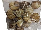 Premium Escargot Wild Burgundy Snails – Rated Number One – Best For Escargot Recipes, Various Sizes … (1 Dozen Shells)