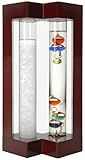 Lily's Home Desktop Weather Station with Galileo Thermometer & Fitzroy Storm Glass Weather Predictor, Ideal Gift for Friends and Family, Indoor & Outdoor Home Décor (4.9” L x 2.8” W x 7.9” H)
