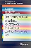 Fast Electrochemical Impedance Spectroscopy: As a Statistical Condition Monitoring Tool (SpringerBriefs in Applied Sciences and Technology)