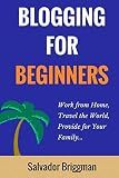Blogging For Beginners: Work from Home, Travel the World, Provide for Your Family