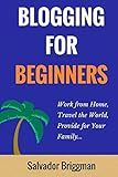 Blogging For Beginners: Work from Home, Travel the World, Provide for Your Family