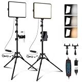 2-Pack LED Video Light Kit, NiceVeedi Studio Light, 2800-6500K Dimmable Photography Lighting Kit with Tripod Stand&Phone Holder, 73" Stream Light for Video Recording, Game Streaming, YouTube
