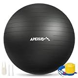 APEXUP Yoga Ball, 660 lbs Anti-Burst Exercise Ball with Pump, 5 Sizes (L (23"~26") 65cm, Black)