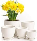 Utopia Home Plant Pots Indoor with Drainage Holes – Set of 5 White Plastic Flower Pots (7/6.6/6/5.3/4.8 Inch) – Modern Planters for Indoor Plants, Room & Office Décor, Great Stocking Stuffers