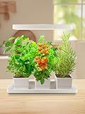 TORCHSTAR Indoor Herb Garden with LED Grow Light, Height Adjustable, 20W Growing System with Automatic Timer, CRI 95+, Full Spectrum Plant Light for Seeds, Vegetation, Home, White, No Pots or Plants