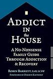 Addict in the House: A No-Nonsense Family Guide Through Addiction and Recovery