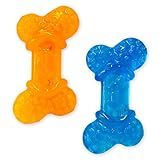 Nylabone Moderate Chew Flexi Chew Bone Peanut Butter & Bacon XX-Small/Tiny (2 Count)