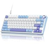 RK ROYAL KLUDGE R75 Mechanical Keyboard Wired with Volume Knob, 75% Custom Gaming Keyboard Gasket Mount RGB Backlit with Software, Cherry Profile, Hot Swappable Silver Switch, PBT Keycaps