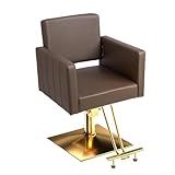 mefeir Brown and Gold Barber Chair Hair Salon Chair with Heavy Duty Hydraulic Pump, Square Base, Stainless Steel Footrest,Styling Chair for Beauty Spa Hairdressing Braiding