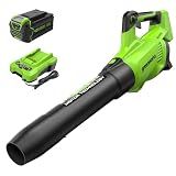 Greenworks 40V Electric Leaf Blower, 550 CFM, 4.0 Ah Battery and Charger