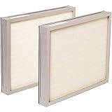 BlueDri Air Scrubber Stage 2 HEPA Filter for Air Purifiers Negative Air Machine, Water Damage Restoration Equipment, Mold Remediation, Construction Debris (2-Pack)