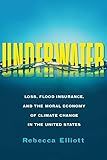Underwater: Loss, Flood Insurance, and the Moral Economy of Climate Change in the United States (Society and the Environment)