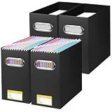 BALEINE 4PK File Organizer Box, Cardboard File Folder Organizer with Handle