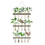 Monsiter QE 3 Tier Large Propagation Stations Wall Hanging Plant Terrarium with Wooden Stand, Retro Propagation Test Tube for Hydroponic Plants Cutting Flower, Propagator Home Office Patio Decor Gifts